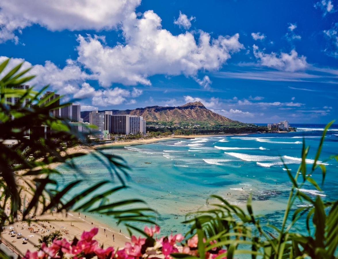 Great Diamond Head Views, 2Br Condo With Free Parking! Honolulu Exteriör bild